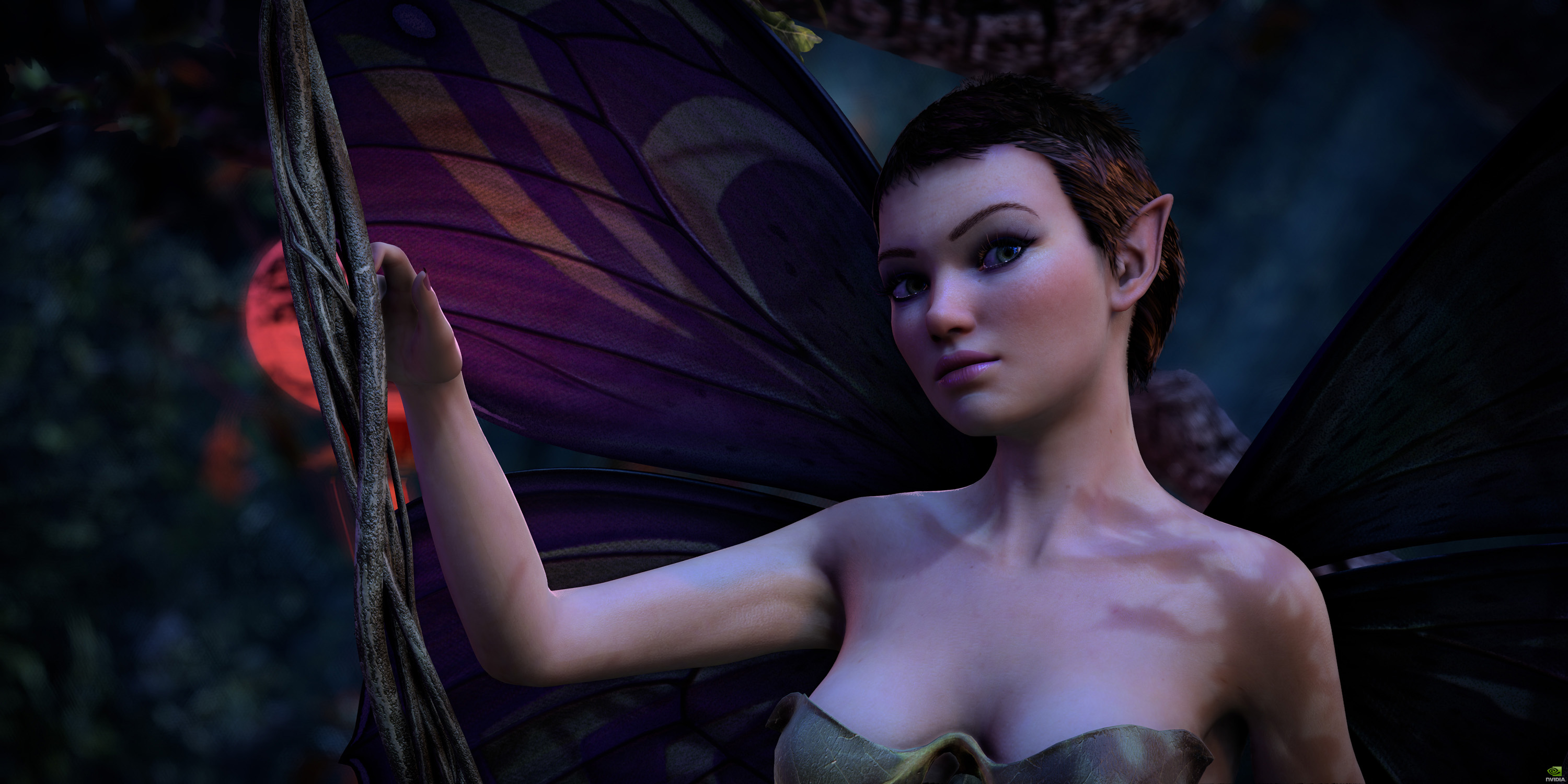 nVidia’s A New Dawn Nackt