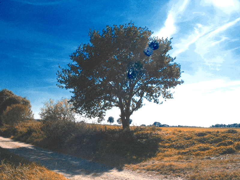 Feldertour September 2004