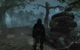 Assassin’s Creed® IV Black Flag™ Deluxe Edition2014-6-7-21-54-20