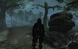 Assassin’s Creed® IV Black Flag™ Deluxe Edition2014-6-7-21-54-29