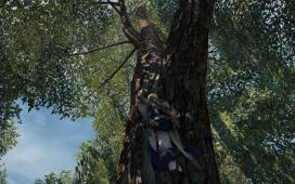 Assassin\'s Creed® III2014-6-2-23-3-53