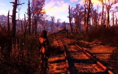 Fallout 4