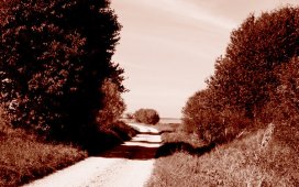 img_0005