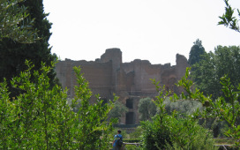 107_0774_img_001