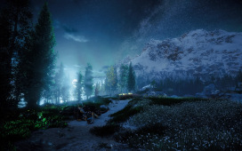 Die Wildnis bei Nacht