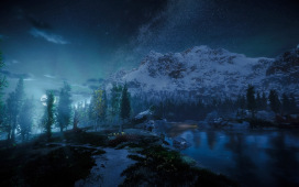 Die Wildnis bei Nacht