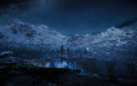 Die Wildnis bei Nacht
