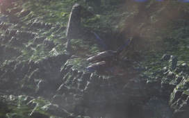 Mass Effect™: Andromeda_20170429025042