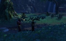 swtor-2011-12-05-02-55-16-23