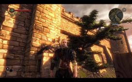 witcher2-2011-05-18-01-23-57-92