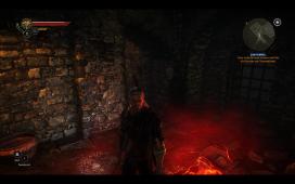 witcher2-2011-05-18-01-41-59-42