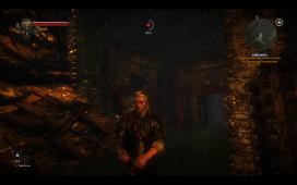 witcher2-2011-05-18-01-46-42-54