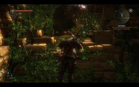 witcher2-2011-05-18-01-54-28-36