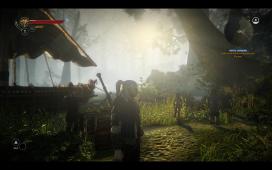 witcher2-2011-05-18-02-58-44-18