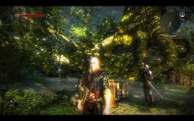 witcher2-2011-05-18-02-58-54-68