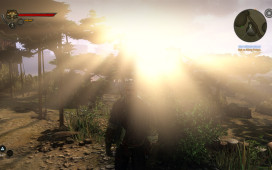 The Witcher 2: Assassins of Kings