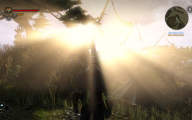 The Witcher 2: Assassins of Kings