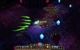 torchlight-2010-02-15-15-57-35-34