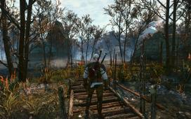 witcher3 2015-05-25 00-48-48-27