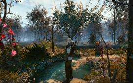 witcher3 2015-05-25 00-49-09-93