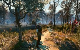 witcher3 2015-05-25 00-49-16-13