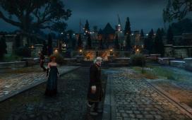 witcher3 2015-05-27 03-06-51-79