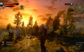 The Witcher 3: Wild Hunt