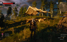 witcher3_2015_05_19_03_45_28_587