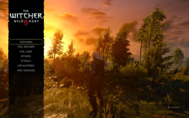witcher3_2015_05_19_03_45_48_214