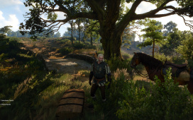 witcher3_2015_05_20_16_53_13_448