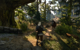 witcher3_2015_05_20_16_53_24_484