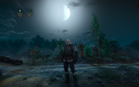 witcher3_2015_05_20_17_44_54_607