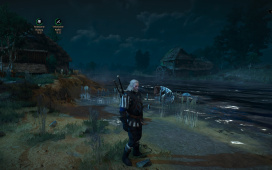 witcher3_2015_05_20_17_45_08_326