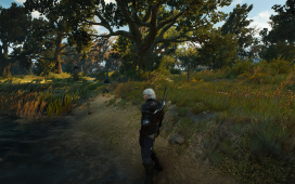 witcher3_2015_05_22_18_47_47_504