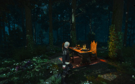 witcher3_2015_05_23_20_01_55_929