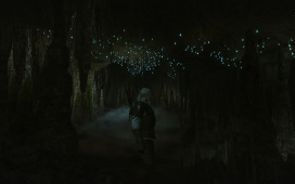 witcher3_2015_05_24_22_31_26_527